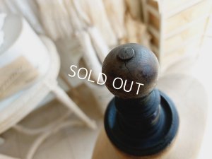 画像12: Ransquin Parisチャイルドトルソー