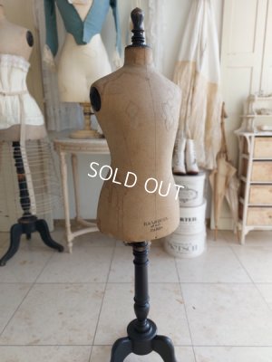 画像6: Ransquin Parisチャイルドトルソー