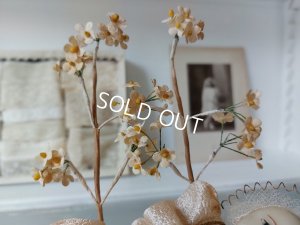 画像13: ガラスドーム付イエスワックスベビー