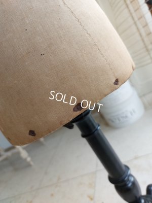 画像10: STOCKMANチャイルドトルソー