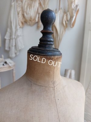 画像12: STOCKMANチャイルドトルソー