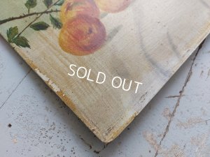 画像8: アンティークローズ画