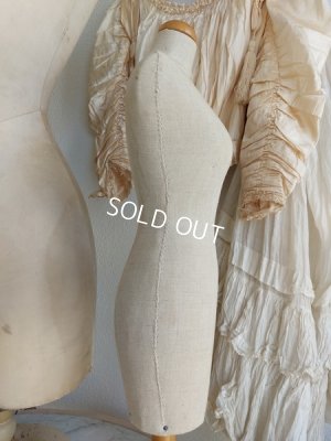 画像8: ミニトルソー