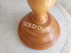 画像11: ミニトルソー