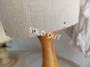 画像14: ミニトルソー