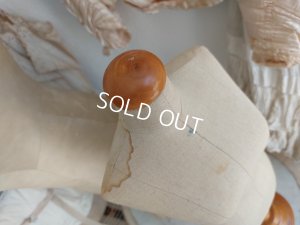 画像16: ミニトルソー