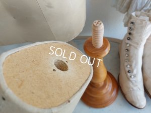 画像17: ミニトルソー