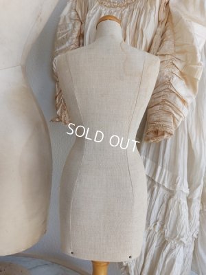 画像6: ミニトルソー