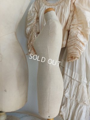 画像7: ミニトルソー