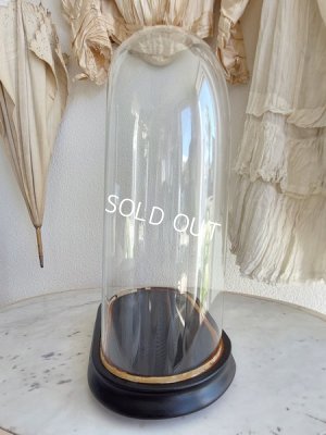 画像7: アンティークオーヴァル型ガラスドーム