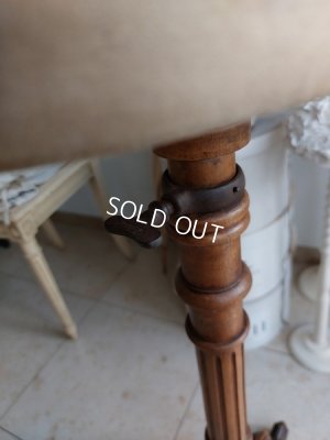 画像18: ストックマンチャイルドトルソー