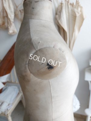 画像13: ストックマンチャイルドトルソー