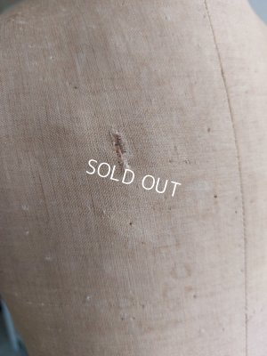 画像15: アンティークチャイルドトルソー