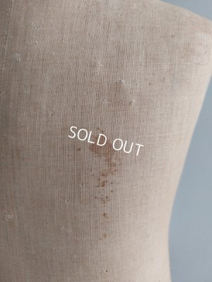 画像19: アンティークチャイルドトルソー