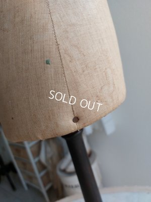 画像14: アンティークチャイルドトルソー