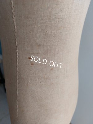 画像20: アンティークチャイルドトルソー