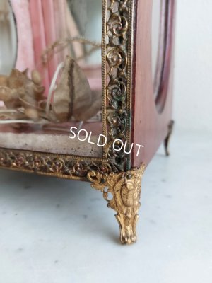 画像6: グローブドマリエガラスケース