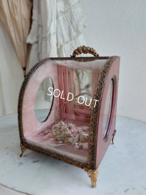 画像2: グローブドマリエガラスケース