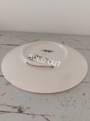 画像11: Froment Richard サルグミンヌ絵皿