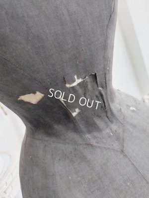 画像34: ドレス付きヴィクトリアントルソー