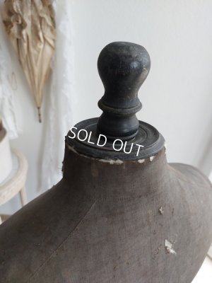 画像45: ドレス付きヴィクトリアントルソー