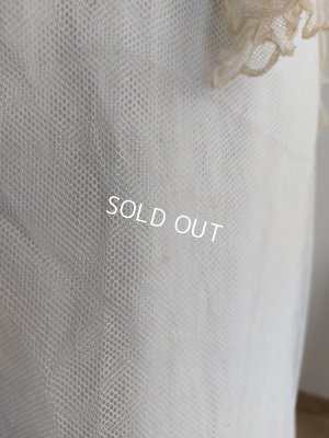 画像26: ドレス付きヴィクトリアントルソー