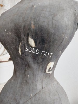 画像46: ドレス付きヴィクトリアントルソー