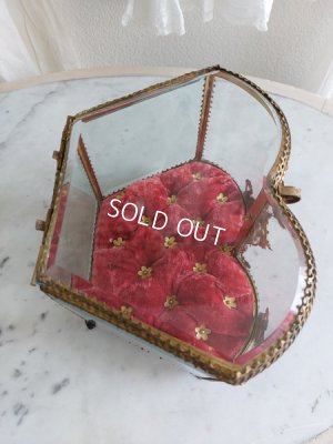 画像11: グローブドマリエガラスケース