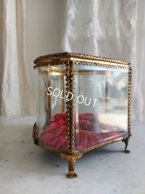 画像3: グローブドマリエガラスケース