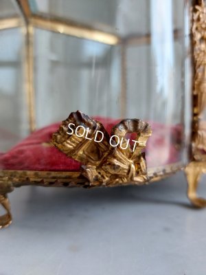 画像8: グローブドマリエガラスケース