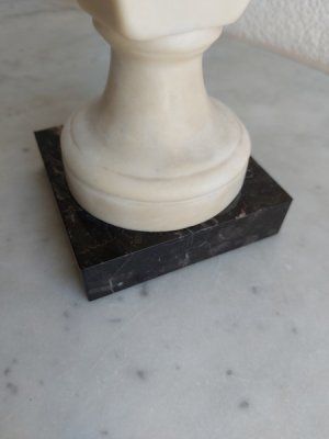 画像9: ジャン・アントワーヌ・ウードン胸像