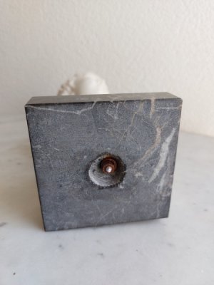 画像15: ジャン・アントワーヌ・ウードン胸像