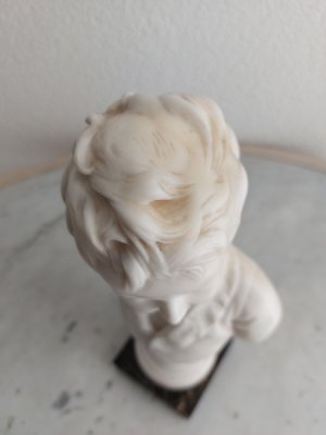 画像11: ジャン・アントワーヌ・ウードン胸像