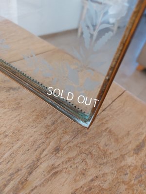 画像20: アンティークグローブドマリエガラスケース