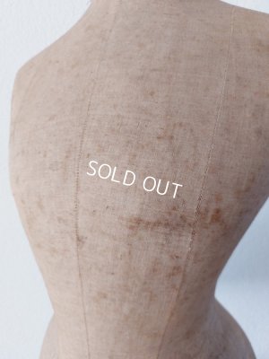 画像11: アンティークカウンタートルソー