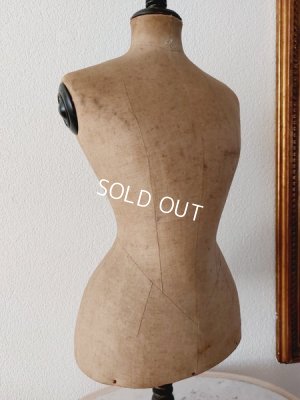 画像7: アンティークカウンタートルソー