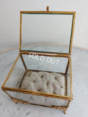 画像11: グローブドマリエガラスケース