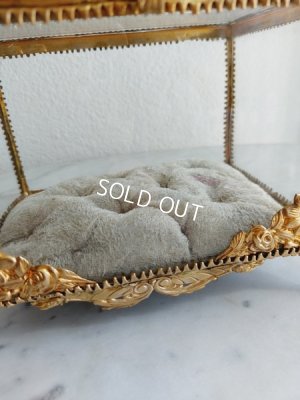 画像13: グローブドマリエガラスケース