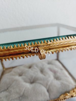 画像8: グローブドマリエガラスケース