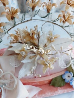 画像8: アンティークグローブドマリエガラスケース