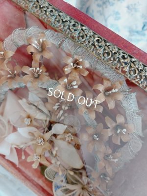 画像10: アンティークグローブドマリエガラスケース