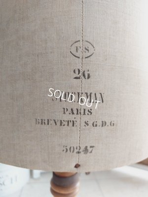 画像2: Stockmanチャイルドトルソー