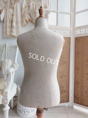 画像5: Stockmanチャイルドトルソー