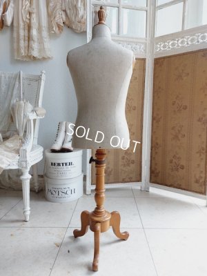 画像16: Stockmanチャイルドトルソー