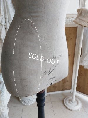 画像22: Stockmanアンティークトルソー