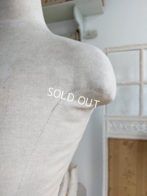 画像11: Stockmanアンティークトルソー