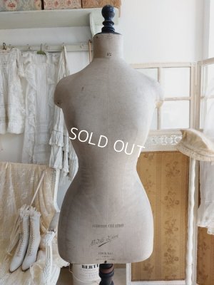 画像2: Stockmanアンティークトルソー