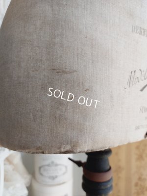 画像27: Stockmanアンティークトルソー