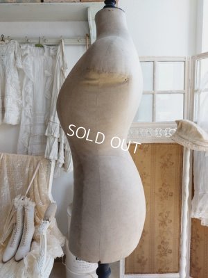 画像4: Stockmanアンティークトルソー