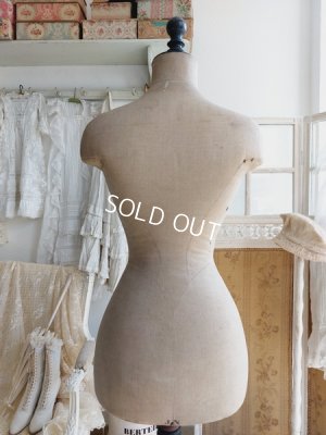 画像5: Stockmanアンティークトルソー